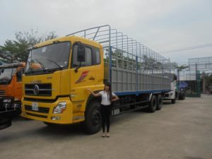 Xe tải Dongfeng 3 chân